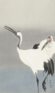 Two cranes 1900-1930 by Ohara Koson 1877-1945.