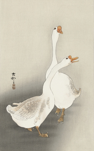 Two geese 1900-1930 by Ohara Koson 1877-1945.