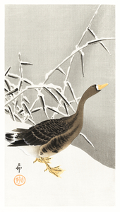 White-fronted goose in the snow 1900 - 1930 by Ohara Koson 1877-1945.