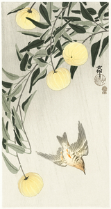 Cuckoo in the rain 1900 - 1910 by Ohara Koson 1877-1945.