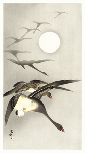 Geese at full moon 1930 - 1945 by Ohara Koson 1877-1945.