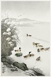 Ducks in the water 1931 by Ohara Koson 1877-1945.