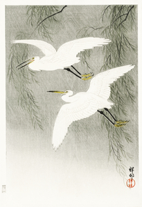 Little Egrets in flight 1925 - 1936 by Ohara Koson 1877-1945.