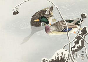 Two Mallards near a Snow-Covered Lotus 1925 - 1936 by Ohara Koson 1877-1945.