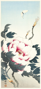 Peony with butterfly 1925 - 1936 by Ohara Koson 1877-1945.