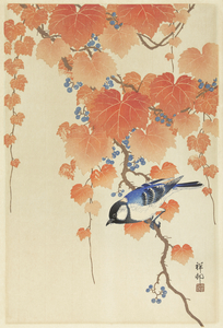 Great tit on paulownia branch 1925 - 1936 by Ohara Koson 1877-1945.