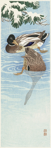 Couple of ducks in the water 1925 - 1936 by Ohara Koson 1877-1945.