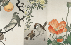 Ring sparrows and insect 1900 - 1936 by Ohara Koson 1877-1945.