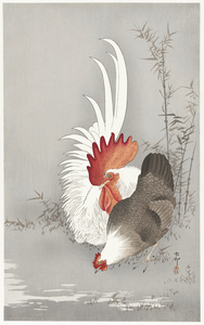 Rooster and chicken 1900 - 1930 by Ohara Koson 1877-1945.