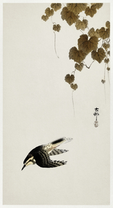 Bird in downward flight 1900 - 1930 by Ohara Koson 1877-1945.