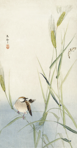 Bird and butterfly 1900 - 1930 by Ohara Koson 1877-1945.
