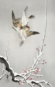 Sparrows and snowy plum tree 1900 - 1936 by Ohara Koson 1877-1945.