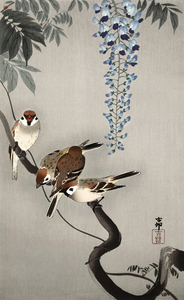 Ring sparrows at wisteria 1900 - 1936 by Ohara Koson 1877-1945.