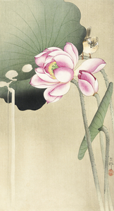 Songbird and Lotus 1900 - 1936 by Ohara Koson 1877-1945.