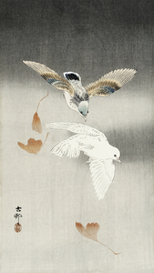 Two pigeons with falling ginkgo leaves 1900 - 1930 by Ohara Koson 1877-1945.
