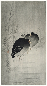 Moorhills between reeds 1900 - 1930 by Ohara Koson 1877-1945.