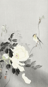 Swallow with Peony 1900 - 1930 by Ohara Koson 1877-1945.