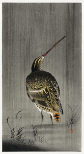 Snipe in the rain 1900 - 1930 by Ohara Koson 1877-1945.