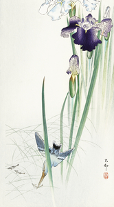 Kingfisher and irises 1900 - 1930 by Ohara Koson 1877-1945.