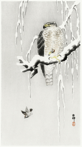 Hawk with captured ring sparrow 1900 - 1930 by Ohara Koson 1877-1945.