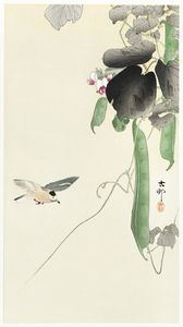 Bird at flowering bean plant 1900 - 1930 by Ohara Koson 1877-1945.