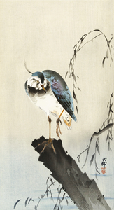 Lapwing on tree stump 1900 - 1930 by Ohara Koson 1877-1945.