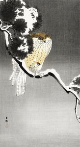 Hawk with sparrow 1900 - 1930 by Ohara Koson 1877-1945.