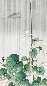 Begonia in the rain 1930 - 1945 by Ohara Koson 1877-1945.