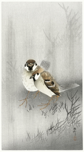 Two ring sparrows in the rain 1900 - 1930 by Ohara Koson 1877-1945.