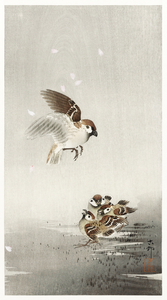 Tree sparrow with boy 1900 - 1936 by Ohara Koson 1877-1945.