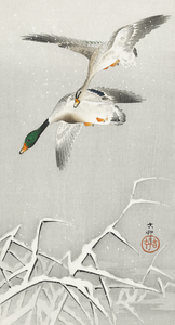 Two wild ducks in flight 1900 - 1936 by Ohara Koson 1877-1945.