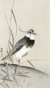 Lapwing and reed Ohara Koson 1900 - 1930 by Ohara Koson 1877-1945.