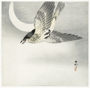Cuckoo at crescent moon 1900 - 1930 by Ohara Koson 1877-1945.