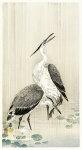 Two herons in the rain 1900 - 1910 by Ohara Koson 1877-1945.