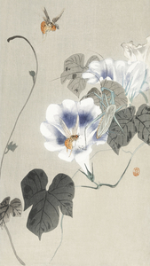 Insects near bindweed 1900 - 1930 by Ohara Koson 1877-1945.
