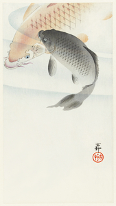 Two carp 1900 - 1930 by Ohara Koson 1877-1945.
