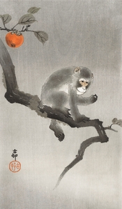 Monkey in cockatoo 1900 - 1930 by Ohara Koson 1877-1945.