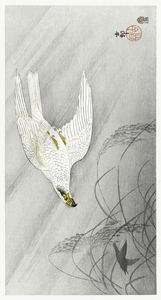 Hunting hawk 1900 - 1910 by Ohara Koson 1877-1945.