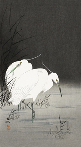 Two egrets in the reeds 1900 - 1930 by Ohara Koson 1877-1945.