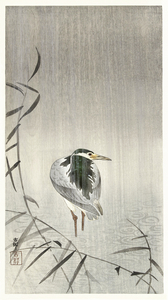 Kwak in rain 1900 - 1936 by Ohara Koson 1877-1945.