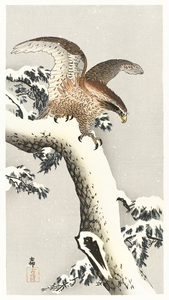 Eagle on a tree branch 1887 - 1930 by Ohara Koson 1877-1945.