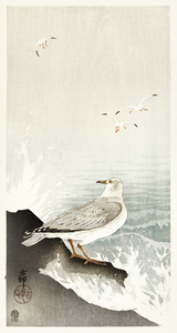 Gull on rock 1900 - 1910 by Ohara Koson 1877-1945.