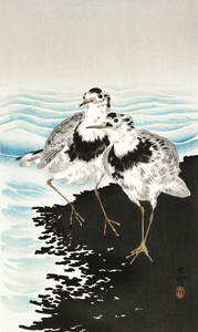 Large coot sandpipers 1900 - 1930 by Ohara Koson 1877-1945.