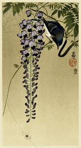 Flycatcher at wisteria 1900 - 1910 by Ohara Koson 1877-1945.