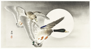 Two ducks at full moon 1900 - 1930 by Ohara Koson 1877-1945.