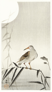 Black horseman on bamboo branch 1900 - 1936 by Ohara Koson1877-1945.