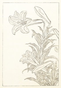 Rabbit at full moon 1900 - 1930 by Ohara Koson 1877-1945.