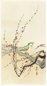 Songbird and plum blossom 1900 - 1936 by Ohara Koson 1877-1945.