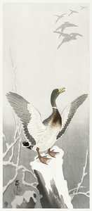 Duck on snowy tree stump 1900 - 1910 by Ohara Koson 1877-1945.