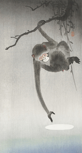 Monkey and reflection of the moon 1900 - 1936 by Ohara Koson 1877-1945.